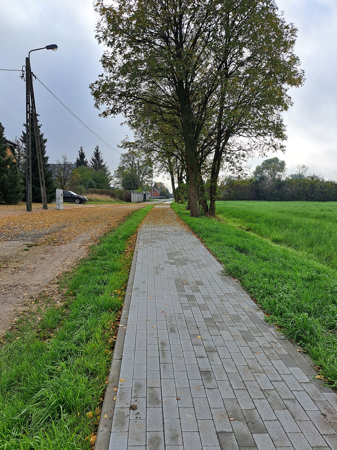 Budowa traktu spacerowego w ramach zadania „Zielona strefa nad Rozlewiskiem” w Sadłogoszczy